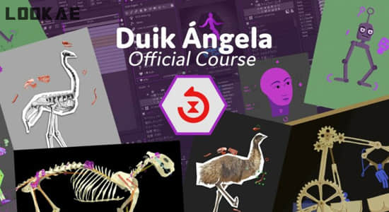 二维卡通角色骨骼绑定MG动画工具AE脚本 Duik Angela 17.0.1 Win/Mac中文版